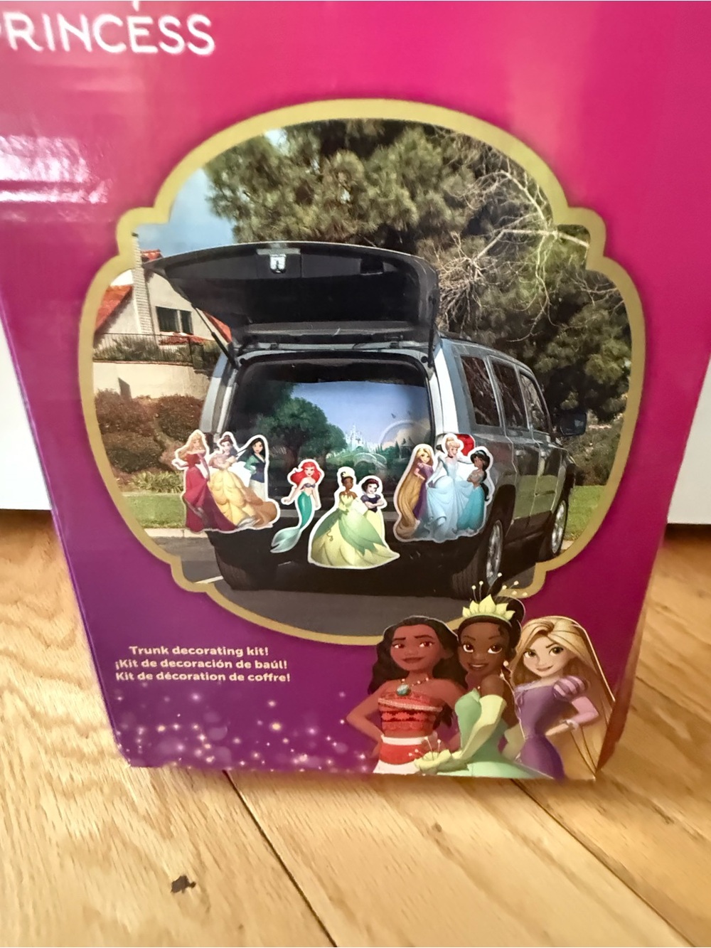 Disney Princess Trunk Decorating Kit - Pink-NWT!